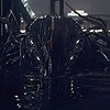 srtesterrobotdrblakk's avatar