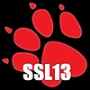 SSL13's avatar