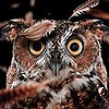 Ssserpentx's avatar