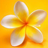 StacsSparkle's avatar