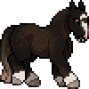 stardae's avatar