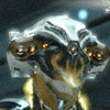 Stardog2537's avatar