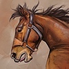 starkovaart's avatar