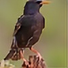 Starling-1990's avatar