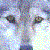 starrystarrynight's avatar