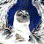 starsight's avatar