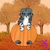 StarWarriorcat92's avatar