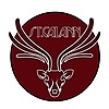 StCalann's avatar