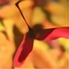 Steamdragonflywings's avatar