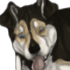 Steampunk-kennels's avatar