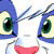StePandy's avatar