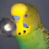 Stockadelic's avatar