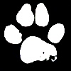 Stocking-Tiger's avatar