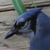 Stockingbird's avatar