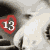 stocknumber13's avatar