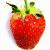 strawberry-melon's avatar