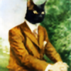 straycat's avatar