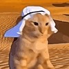 StraySkullCat's avatar