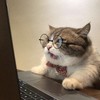 strelokblyat's avatar