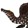 StromerSpinosaurus's avatar