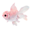 subliminal-fishie's avatar
