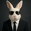 suitrabit's avatar