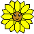 sunflowervlg's avatar