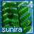 Sunira's avatar