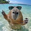 sunkuma77's avatar