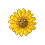 sunnyfleur's avatar
