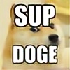 SupDoge's avatar