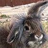 superhappyboi's avatar