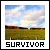 survivor's avatar