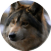 Sweetfurwolf's avatar