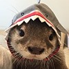 sylphcatcher's avatar