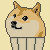 Tactical-Muffin's avatar