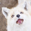 tails-sama's avatar