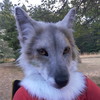 Tailstalker's avatar