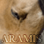Tamino1's avatar