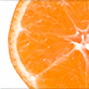 Tangerine-Catnip's avatar