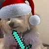 Tankth3dog's avatar