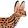 tansy-cat's avatar