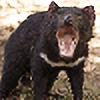 tasmanian-devil-neko's avatar