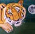 tatjanaBalac1991's avatar