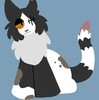tazzy-catt's avatar