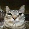 teacoT2's avatar