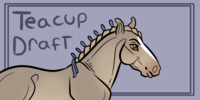 Teacup-Equines's avatar