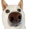tediouslyCapriconian's avatar