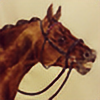 TeeDee-Equine-Art's avatar