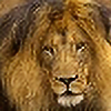 teen-lion's avatar